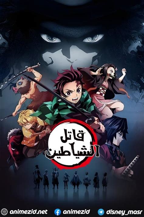 أنمي زد .